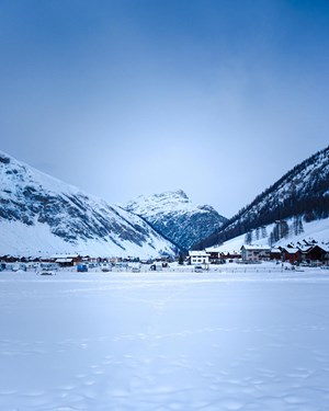 free photo of raffreddore freddo neve paesaggio